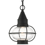 Newburyport Outdoor Pendant - Black / Clear