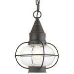 Newburyport Outdoor Pendant - Charcoal / Clear