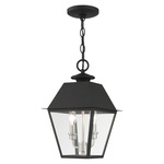 Mansfield Outdoor Pendant - Black / Clear