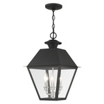 Mansfield Outdoor Pendant - Black / Clear