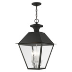 Mansfield Outdoor Pendant - Black / Clear