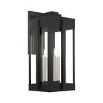 Lexington Outdoor Wall Sconce - Black / Clear