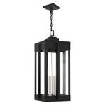 Lexington Outdoor Pendant - Black / Clear