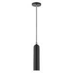 Ardmore Pendant - Shiny Black