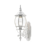Frontenac Outdoor Wall Sconce - Textured White / Clear