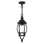 Frontenac Outdoor Pendant - Textured Black / Clear