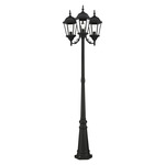 Hamilton Outdoor Pole Light - Black / Clear