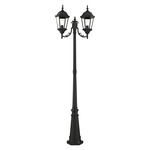 Hamilton Outdoor Pole Light - Black / Clear