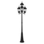 Hamilton Outdoor Pole Light - Black / Clear