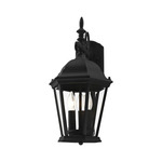 Hamilton Outdoor Drop Wall Sconce - Black / Clear