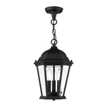 Hamilton Outdoor Pendant - Black / Clear