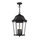 Hamilton Outdoor Pendant - Black / Clear