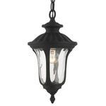 Oxford Outdoor Pendant - Textured Black / Clear