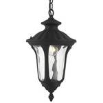 Oxford Outdoor Pendant - Textured Black / Clear