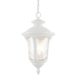Oxford Outdoor Pendant - Textured White / Clear