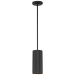 Pilson Pendant - Matte Black
