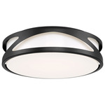 Lucia Ceiling Light Fixture - Black / Acrylic