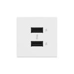Adorne 2 Module Ultra Fast USB Outlet - White