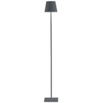 Poldina Pro L Rechargeable Floor Lamp - Dark Gray