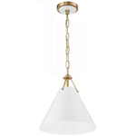 Xavier Pendant - Vibrant Gold / Glossy White