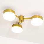 Celeste Epiphany Wall / Ceiling Light - Unpolished Balanced Brass / Opal