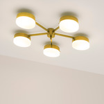 Celeste Ethereal Wall / Ceiling Light - Unpolished Balanced Brass / Opal