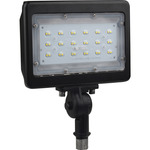 Flood Light 120V - Bronze / Transparent