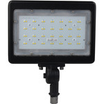 Flood Light 120V - Bronze / Transparent