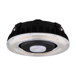 Canopy Low Power Ceiling Light with Color Select - Bronze / Transparent