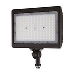 High Power Flood Light 120V - Bronze / Transparent