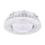Canopy High Power Ceiling Light with Color Select - White / Transparent