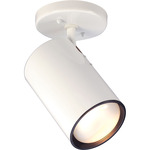 Cylinder Spot Light - White