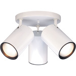 Cylinder Spot Light - White