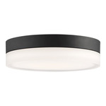 Pi Ceiling Light - Black / Frosted