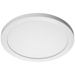 Blink Plus Round Surface Mount Light - White / Diffused Lens