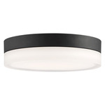 Pi Ceiling Light - Black / Frosted