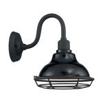Newbridge Outdoor Wall Sconce - Black and Silver