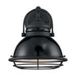 Upton Outdoor Wall Sconce - Black and Silver