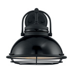 Upton Outdoor Wall Sconce - Black and Silver