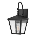 Huntersfield Outdoor Wall Sconce - Black / Clear Seedy