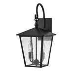 Huntersfield Outdoor Wall Sconce - Black / Clear Seedy