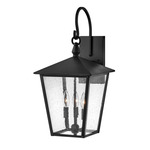 Huntersfield Outdoor Wall Sconce - Black / Clear Seedy