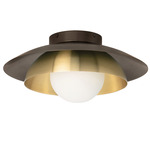 Carapace Wall / Ceiling Light - Bronze / Satin Brass