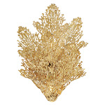 Evergold Wall Sconce - Inda Gold