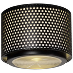 G13 Ceiling Light - Black / Clear