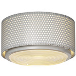 G13 Ceiling Light - Gray / Clear