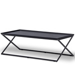 Enzo Coffee Table - Darkened Steel / Black Walnut