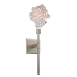 Blossom Belvedere Wall Sconce - Metallic Beige Silver / Clear