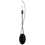 Willow Wall Sconce - Black