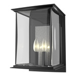 Kingston Outdoor Wall Sconce - Coastal Black / Translucent Vintage Platinum